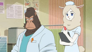 Medical Characters Odd Taxi Wallpaper