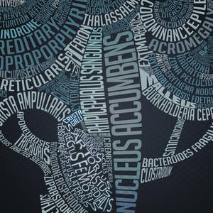 Medical Terminologies Typography Wallpaper