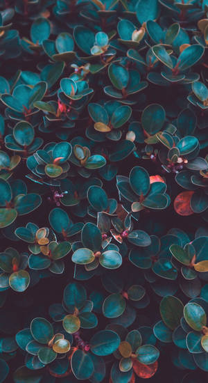 Medium Shaded Leaves Wallpaper