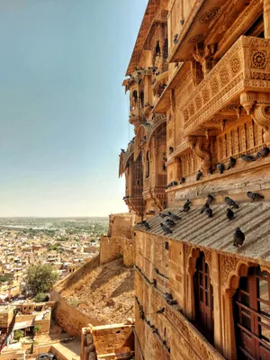 Mehrangarh Fort Mobile Jodhpur View Wallpaper