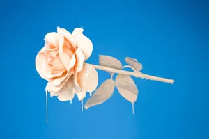 Melting Rose Pop Art Wallpaper