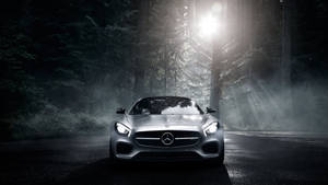 Mercedes Benz In Forest Wallpaper