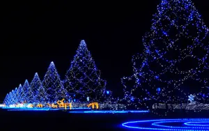 Merry Christmas! A Beautifully Lit Christmas Tree Wallpaper
