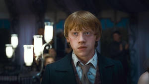 Mesmerized Ron Weasley Wallpaper