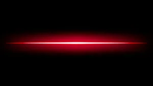 Mesmerizing Glow In The Dark Forest Wallpaper