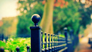 Mesmerizing High Definition Photography Of A Black Fence Wallpaper