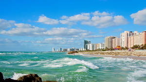 Miami Shoreline Wallpaper