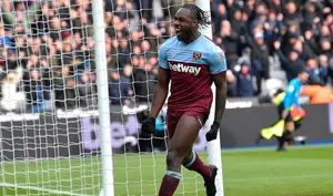 Michail Antonio Running Celebration Wallpaper