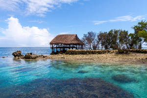 Micronesia Hut Trees Sea Wallpaper