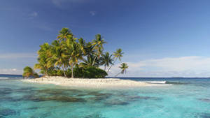 Micronesia Small Island Coconut Trees Wallpaper