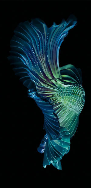 Microsoft Surface Duo With An Aquarium Featuring The Vibrant Colored Blue Betta Fish Wallpaper