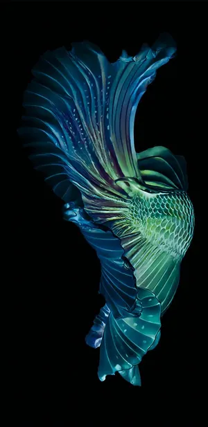 Microsoft Surface Duo With An Aquarium Featuring The Vibrant Colored Blue Betta Fish Wallpaper