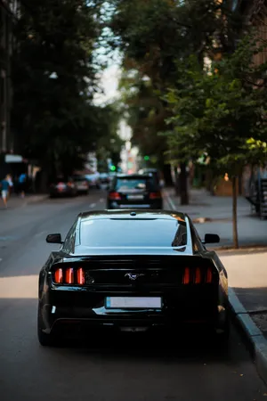 Midnight Black Ford Mustang Gt Wallpaper