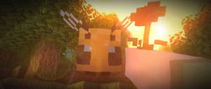 Minecraft Bee Aesthetic Sunset Wallpaper