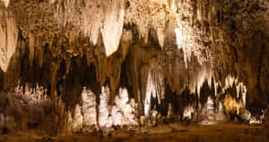 Mineral Deposits Carlsbad Caverns National Park Wallpaper