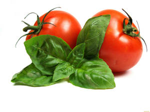 Minimal Tomato Fruits And Basil Leaves Wallpaper