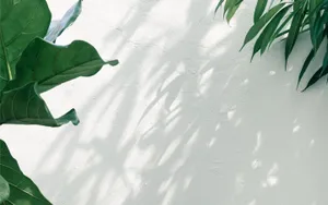 Minimalist Aesthetic Ipad Wallpaper