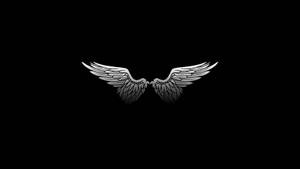 Minimalist Bird Wings Wallpaper