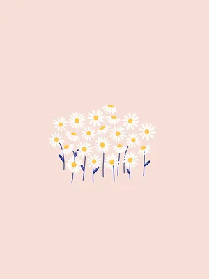 Minimalist Daisy Pink Aesthetic Tablet Wallpaper