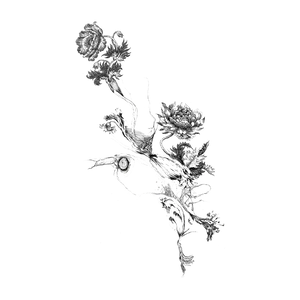 Minimalist Drawing [wallpaper] Wallpaper