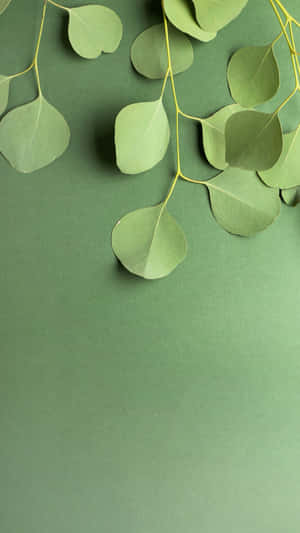 Minimalist Green Leaveson Green Background Wallpaper