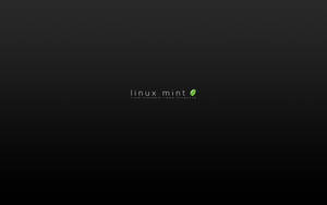 Minimalist Operating System Linux Mint Logo Wallpaper