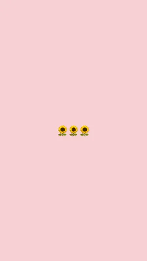 Minimalist Sunflower Tumblr Wallpaper