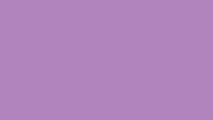 Minimalistic African Violet Wallpaper