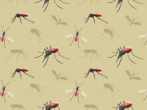 Minimalistic Cartoon Mosquito Wallpaper Wallpaper