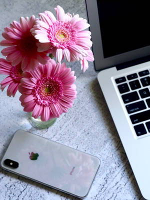 Minimalistic Iphone Desk Setup Adorned With Sprightly Pink Flowers. Wallpaper