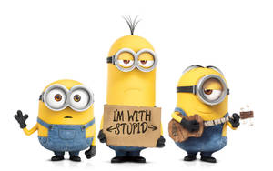 Minion Kevin Annoyed With Stupid Kevin Wallpaper