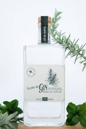 Mint Leaves Gin Wallpaper