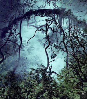 Misty Mystery Of The Jungle Wallpaper