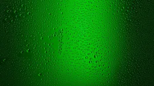 Misty Plain Green Wallpaper