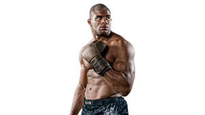 Mma Alistair Overeem Wallpaper