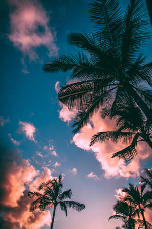 Mobile Palm Trees Wallpaper