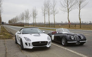 Modern And Vintage Jaguar Cars Wallpaper