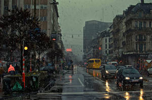 Modern Brussels Raining Wallpaper