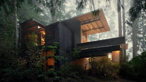 Modern House In Forest Wallpaper