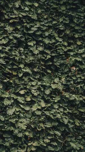 Modern Style For Slick New Look Wallpaper