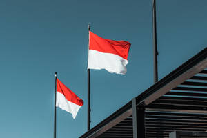 Monaco Flags On Poles Wallpaper