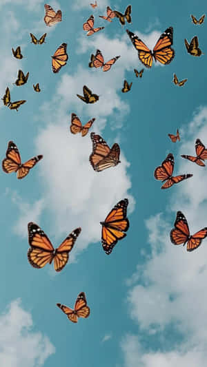 Monarch Butterflies Kaleidoscope In The Sky Wallpaper