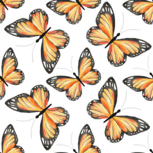 Monarch Butterflies White Aesthetic Illustration Wallpaper