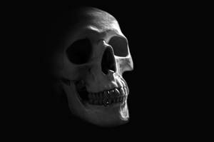 Monochromatic Hd Skull Wallpaper