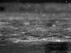 Monochrome_ Raindrops_ Impact_ Water_ Surface Wallpaper