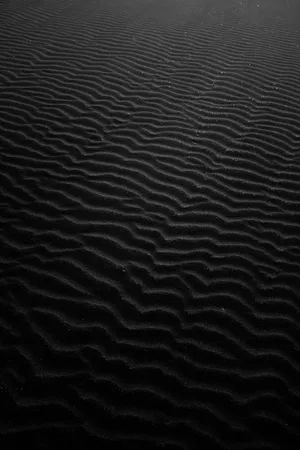 Monochrome Sand Ripples Wallpaper