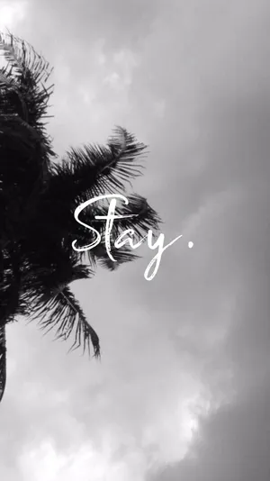 Monochrome Tumblr Photography Iphone Wallpaper