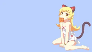 Monogatari Cat Shinobu Wallpaper