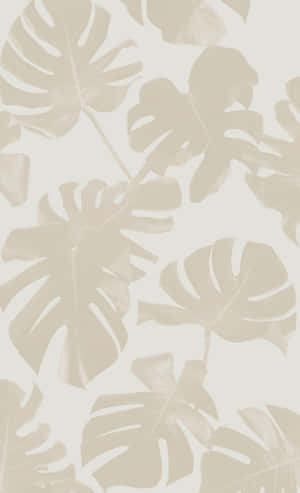 Monstera Leaves Beige Aesthetic Illustration Wallpaper