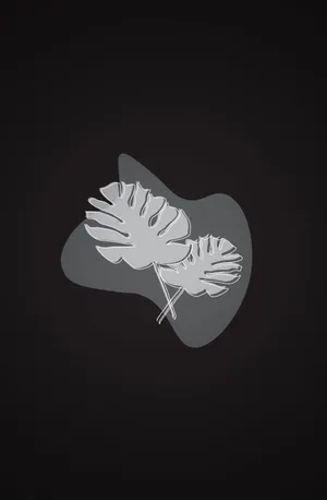Monstera Plant Minimalist Black Phone Wallpaper